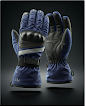 Ski Gloves
