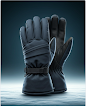 Winter Gloves